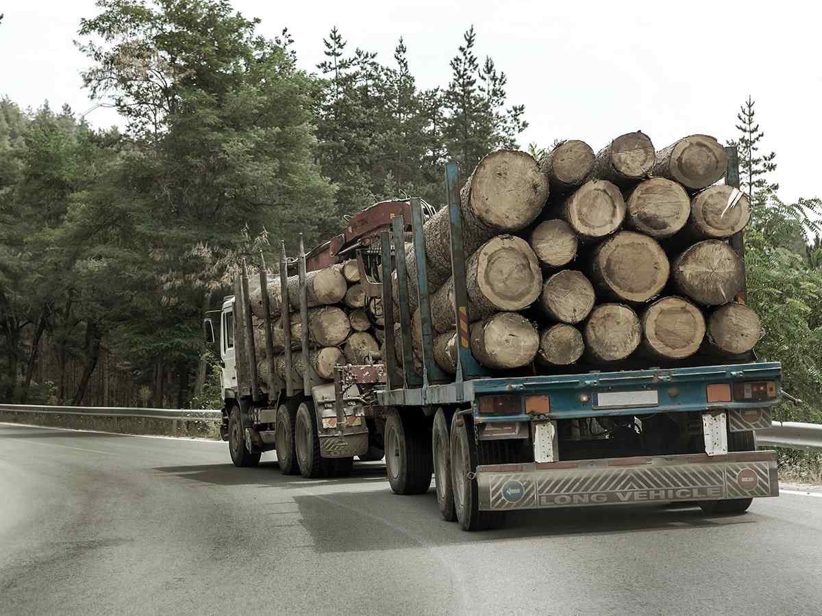 https://quickshiftremovals.co.uk/wp-content/uploads/2017/08/inner_big_trucks_01-2.jpg